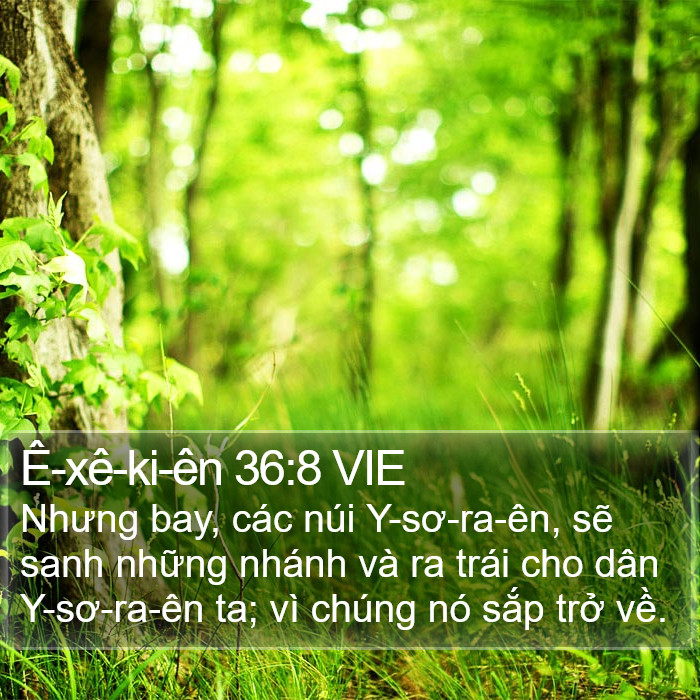Ê-xê-ki-ên 36:8 VIE Bible Study