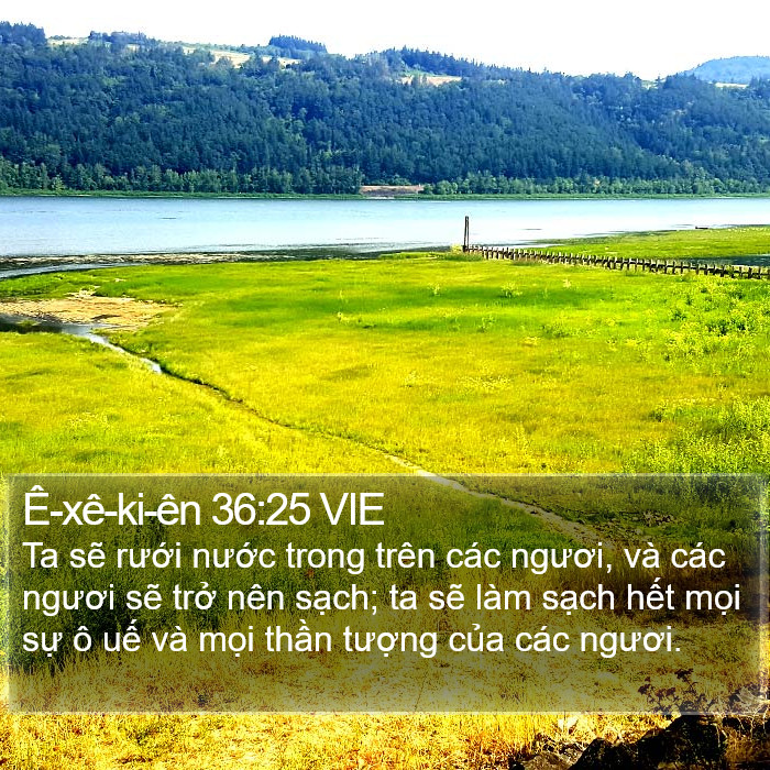 Ê-xê-ki-ên 36:25 VIE Bible Study