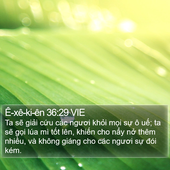 Ê-xê-ki-ên 36:29 VIE Bible Study
