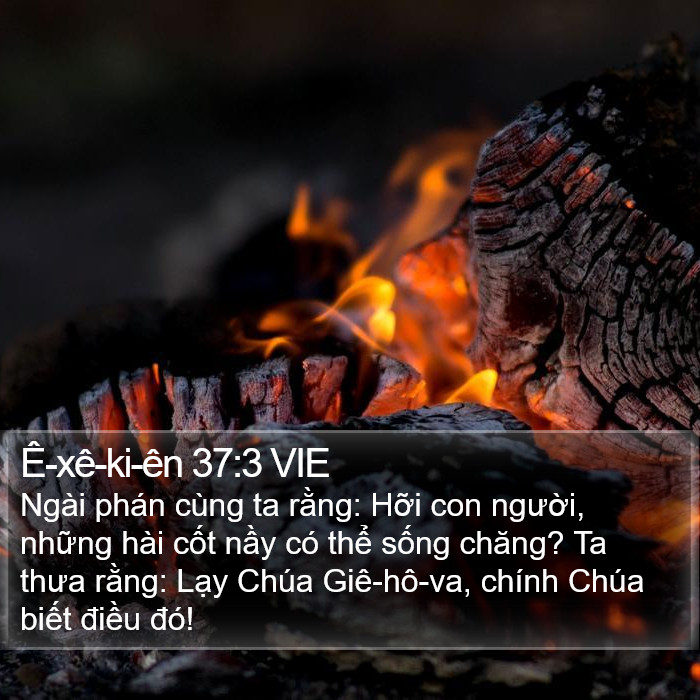 Ê-xê-ki-ên 37:3 VIE Bible Study