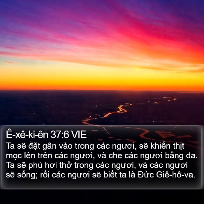 Ê-xê-ki-ên 37:6 VIE Bible Study