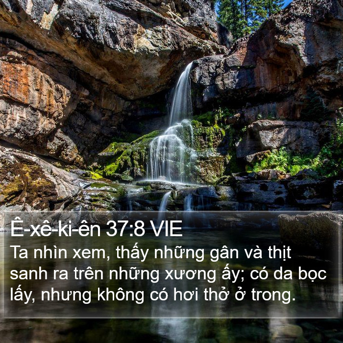 Ê-xê-ki-ên 37:8 VIE Bible Study