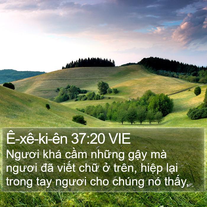 Ê-xê-ki-ên 37:20 VIE Bible Study