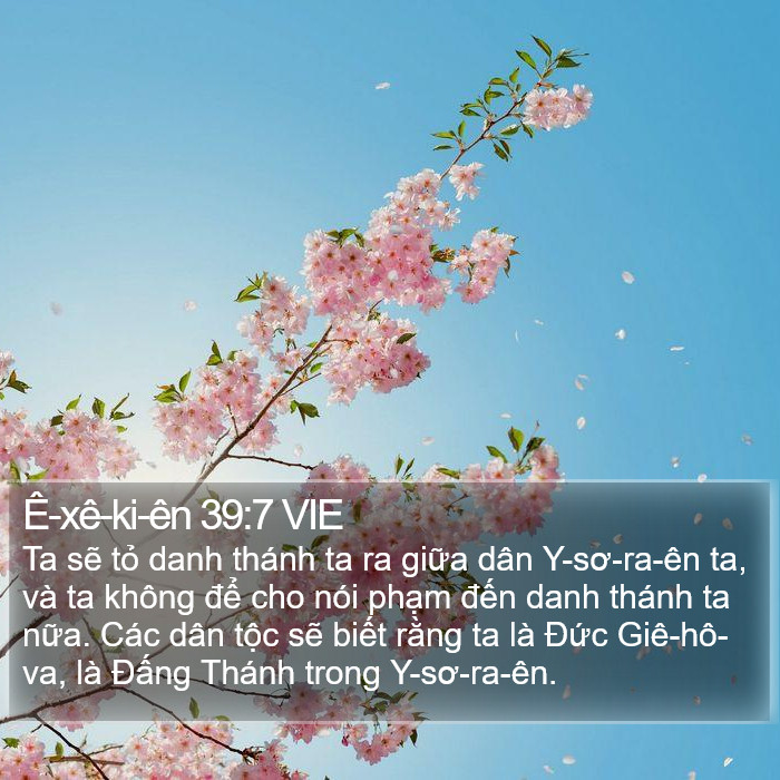 Ê-xê-ki-ên 39:7 VIE Bible Study