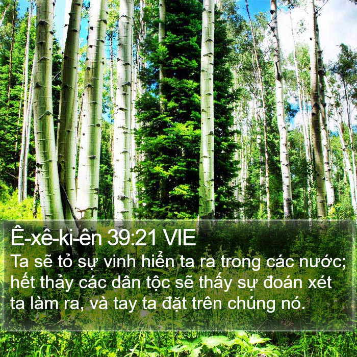 Ê-xê-ki-ên 39:21 VIE Bible Study