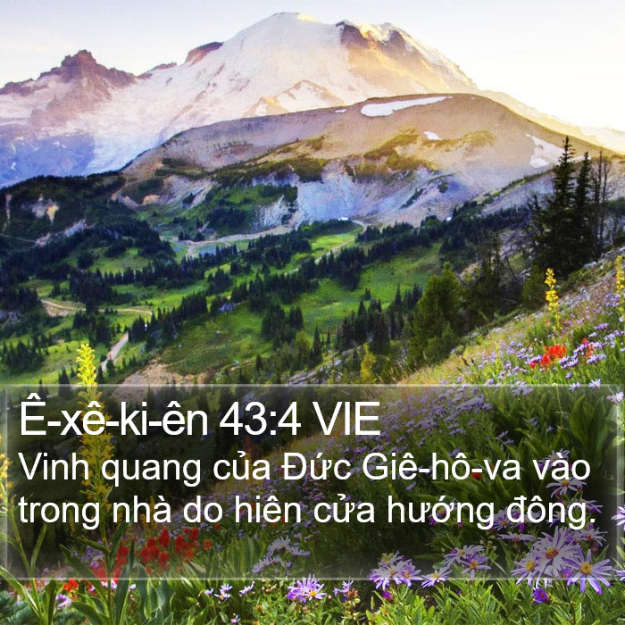 Ê-xê-ki-ên 43:4 VIE Bible Study