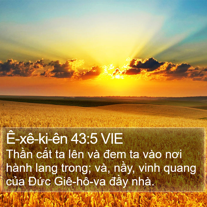 Ê-xê-ki-ên 43:5 VIE Bible Study