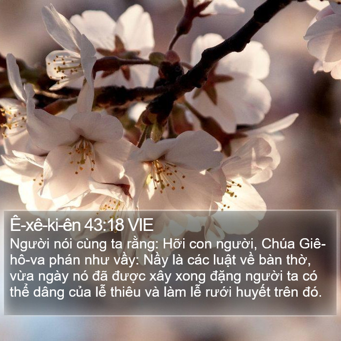 Ê-xê-ki-ên 43:18 VIE Bible Study