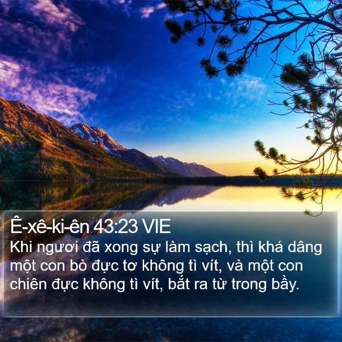 Ê-xê-ki-ên 43:23 VIE Bible Study