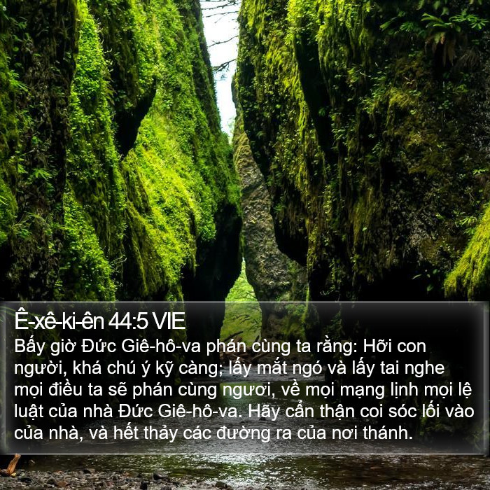 Ê-xê-ki-ên 44:5 VIE Bible Study