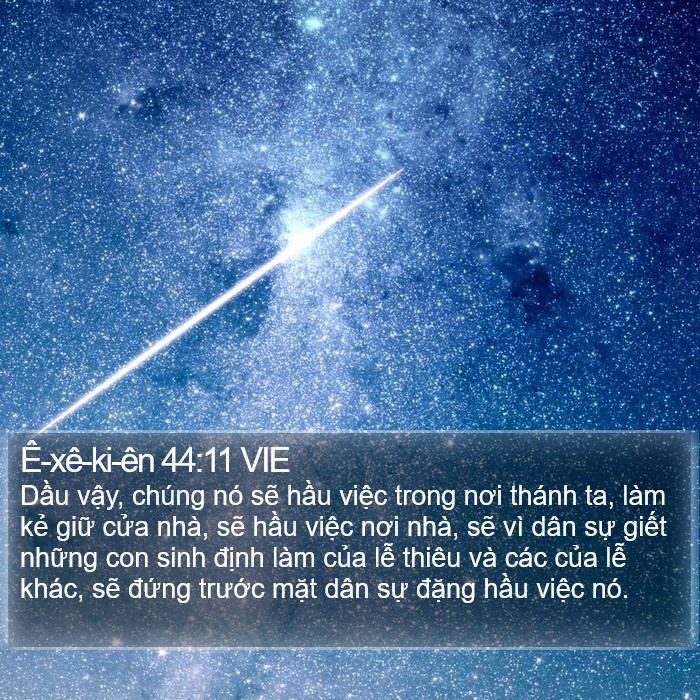 Ê-xê-ki-ên 44:11 VIE Bible Study