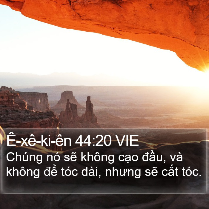 Ê-xê-ki-ên 44:20 VIE Bible Study