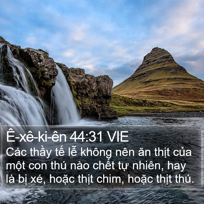 Ê-xê-ki-ên 44:31 VIE Bible Study