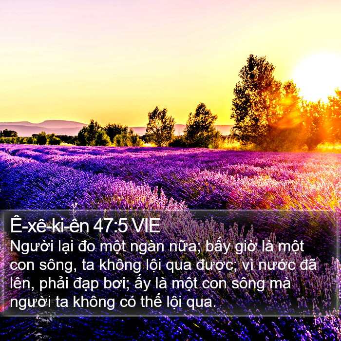 Ê-xê-ki-ên 47:5 VIE Bible Study