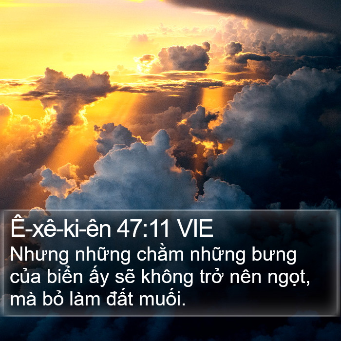 Ê-xê-ki-ên 47:11 VIE Bible Study