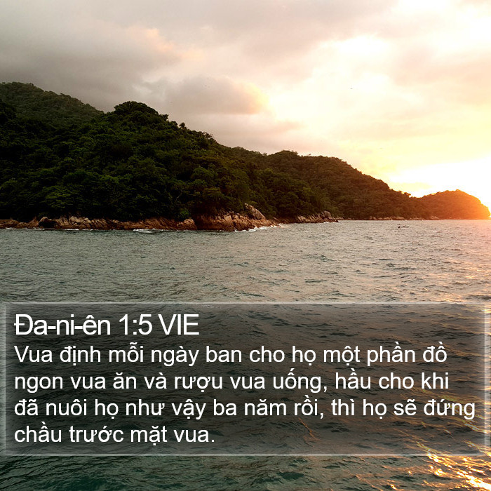 Ða-ni-ên 1:5 VIE Bible Study