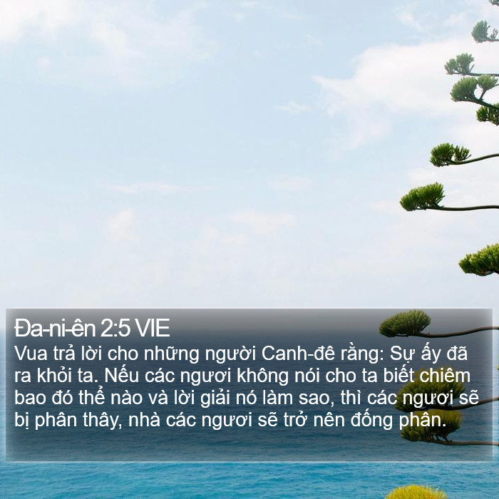 Ða-ni-ên 2:5 VIE Bible Study