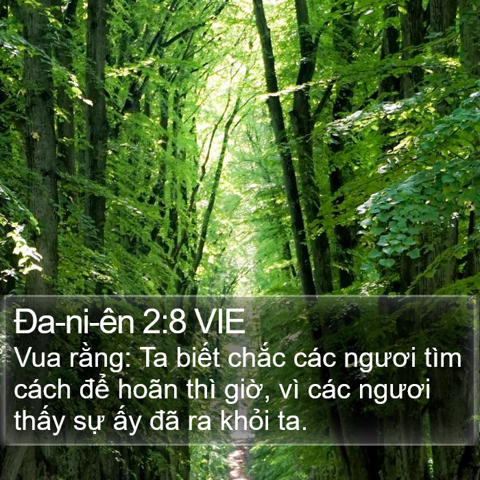 Ða-ni-ên 2:8 VIE Bible Study