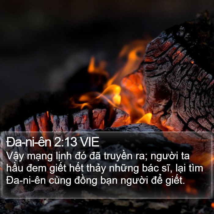 Ða-ni-ên 2:13 VIE Bible Study