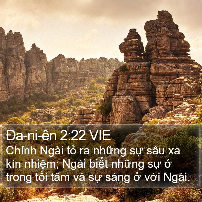 Ða-ni-ên 2:22 VIE Bible Study