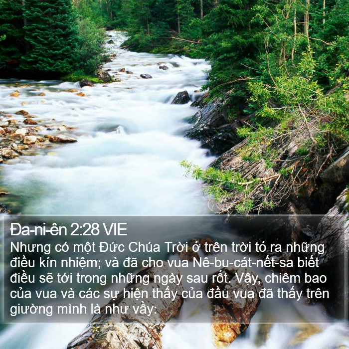 Ða-ni-ên 2:28 VIE Bible Study