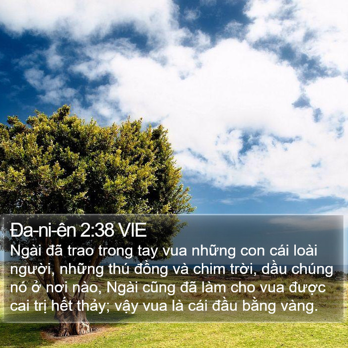 Ða-ni-ên 2:38 VIE Bible Study