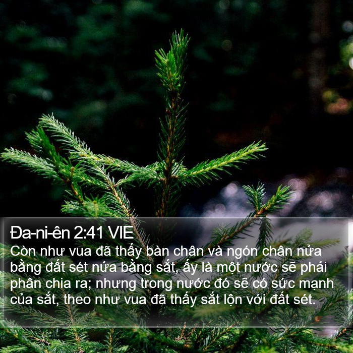 Ða-ni-ên 2:41 VIE Bible Study