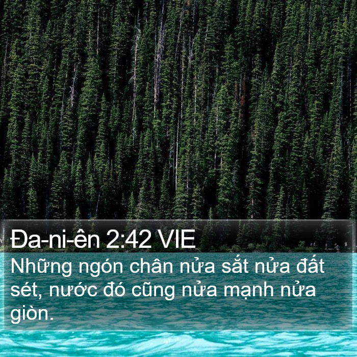Ða-ni-ên 2:42 VIE Bible Study