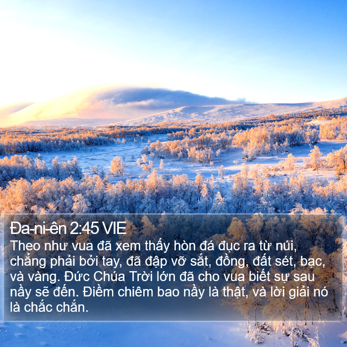 Ða-ni-ên 2:45 VIE Bible Study