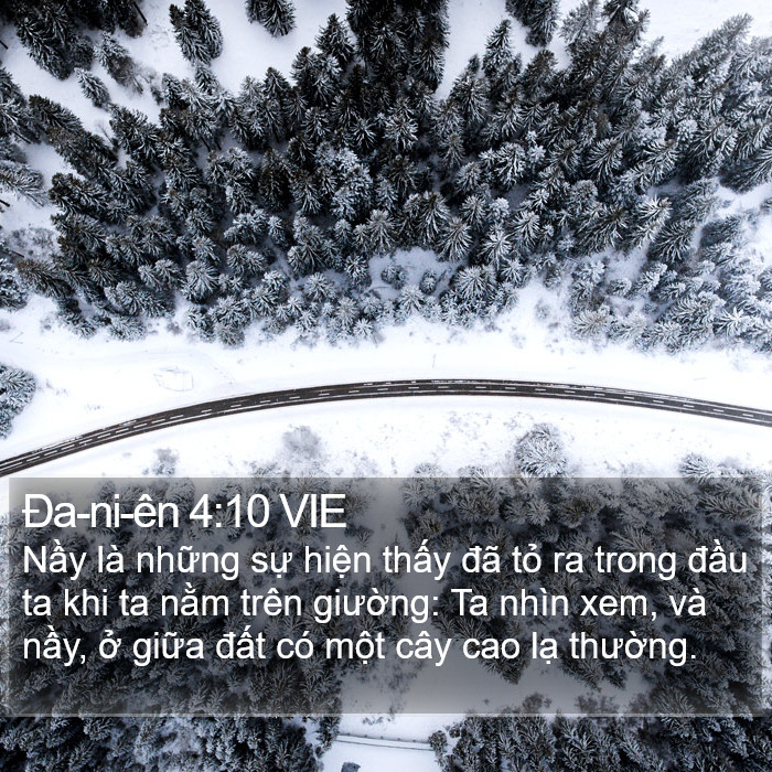 Ða-ni-ên 4:10 VIE Bible Study