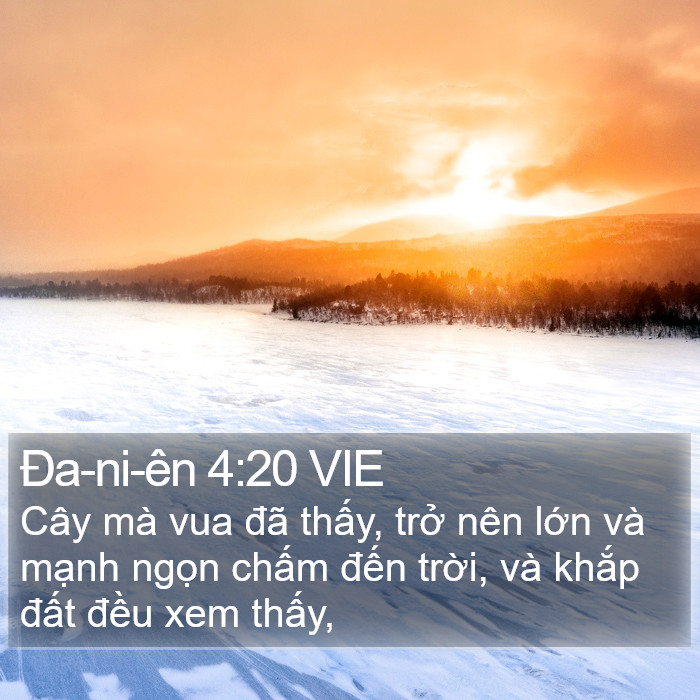 Ða-ni-ên 4:20 VIE Bible Study