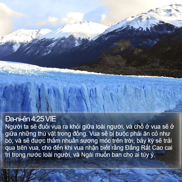 Ða-ni-ên 4:25 VIE Bible Study
