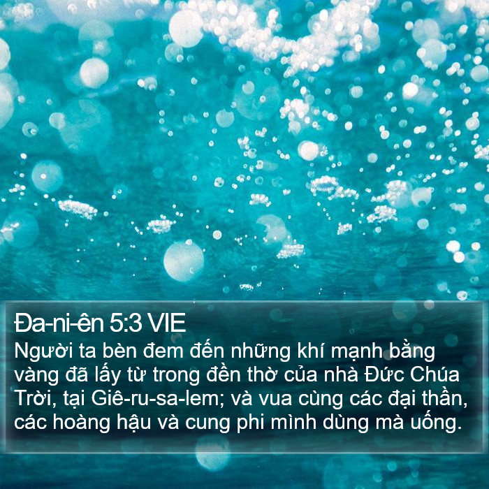 Ða-ni-ên 5:3 VIE Bible Study