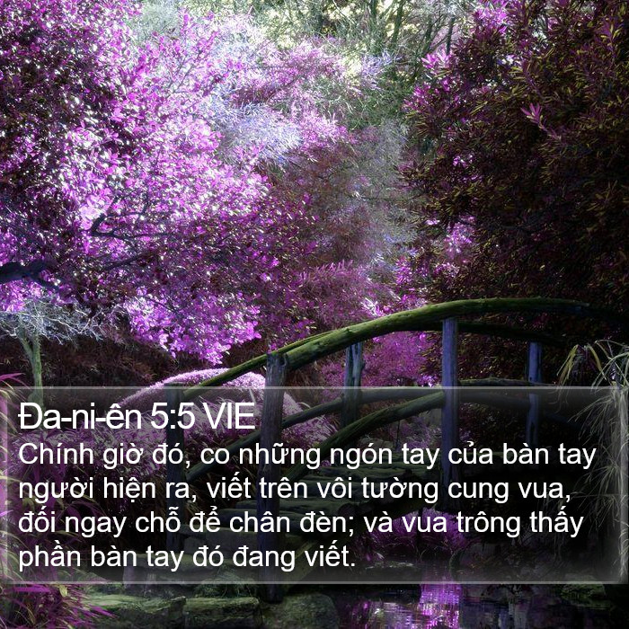Ða-ni-ên 5:5 VIE Bible Study