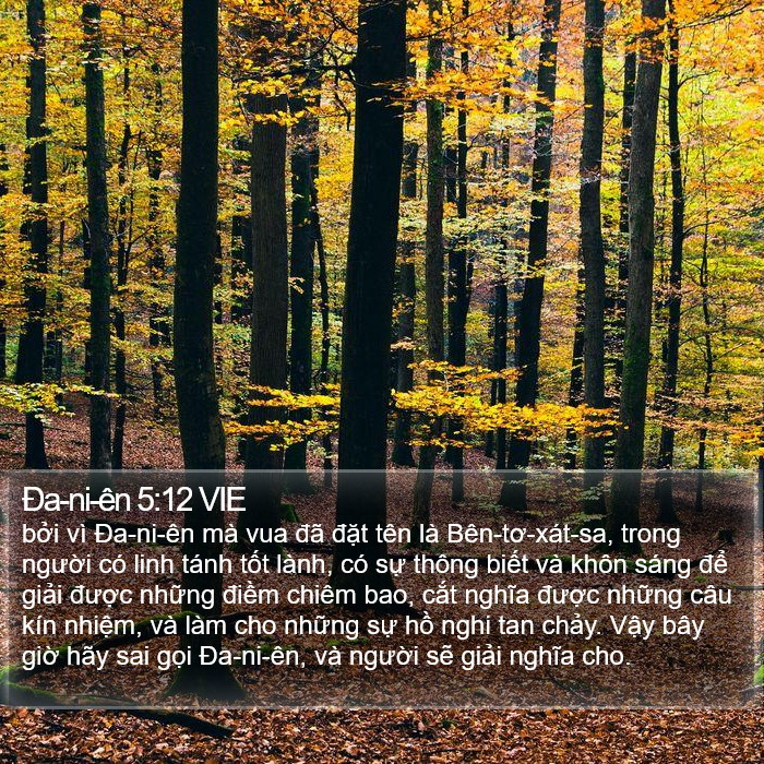 Ða-ni-ên 5:12 VIE Bible Study