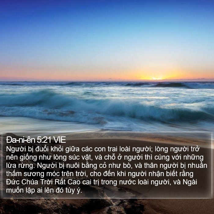 Ða-ni-ên 5:21 VIE Bible Study
