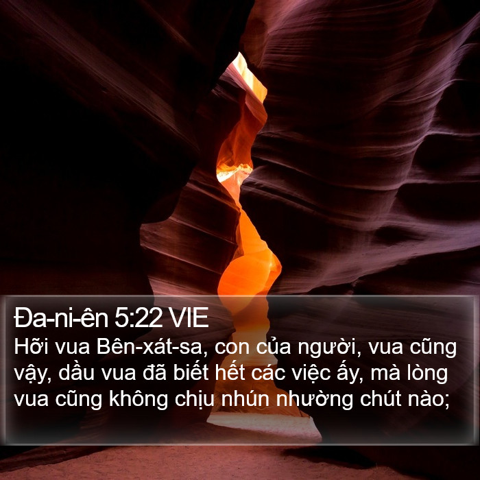 Ða-ni-ên 5:22 VIE Bible Study