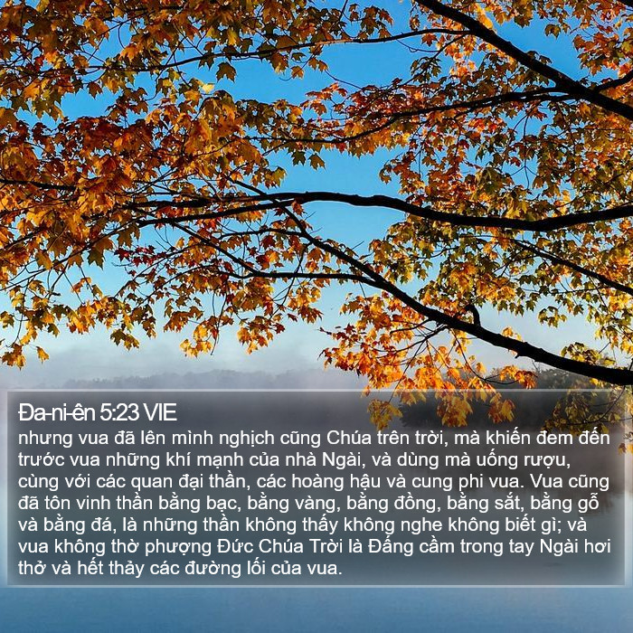 Ða-ni-ên 5:23 VIE Bible Study