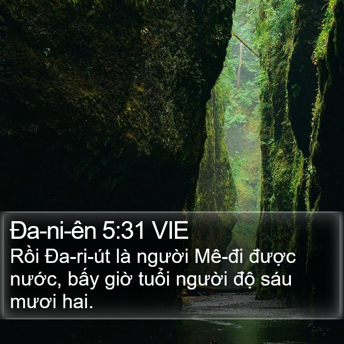 Ða-ni-ên 5:31 VIE Bible Study