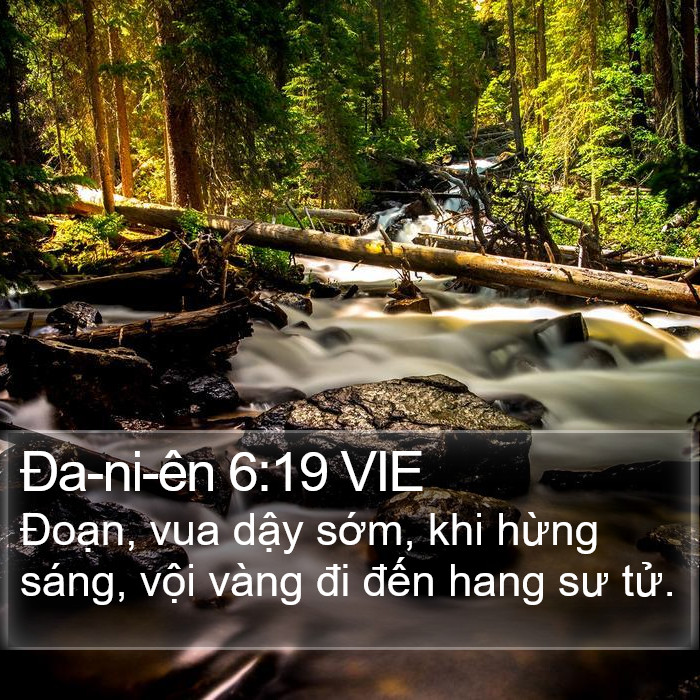 Ða-ni-ên 6:19 VIE Bible Study