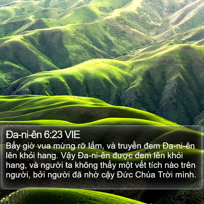 Ða-ni-ên 6:23 VIE Bible Study