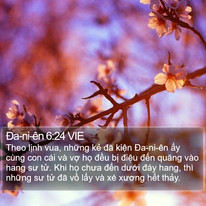 Ða-ni-ên 6:24 VIE Bible Study