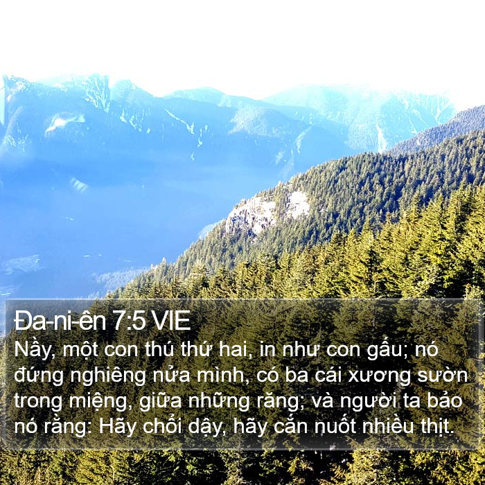 Ða-ni-ên 7:5 VIE Bible Study
