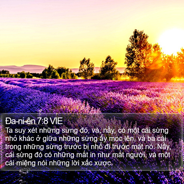 Ða-ni-ên 7:8 VIE Bible Study