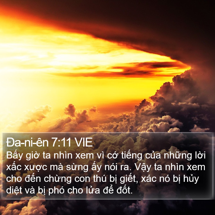 Ða-ni-ên 7:11 VIE Bible Study