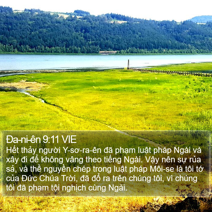 Ða-ni-ên 9:11 VIE Bible Study