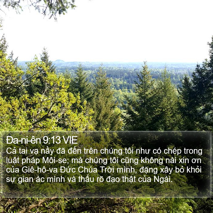 Ða-ni-ên 9:13 VIE Bible Study