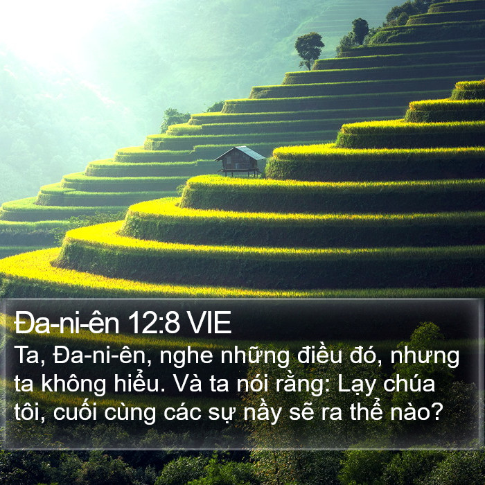 Ða-ni-ên 12:8 VIE Bible Study