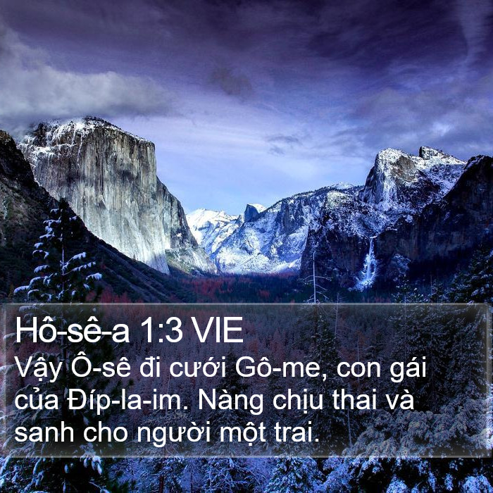 Hô-sê-a 1:3 VIE Bible Study