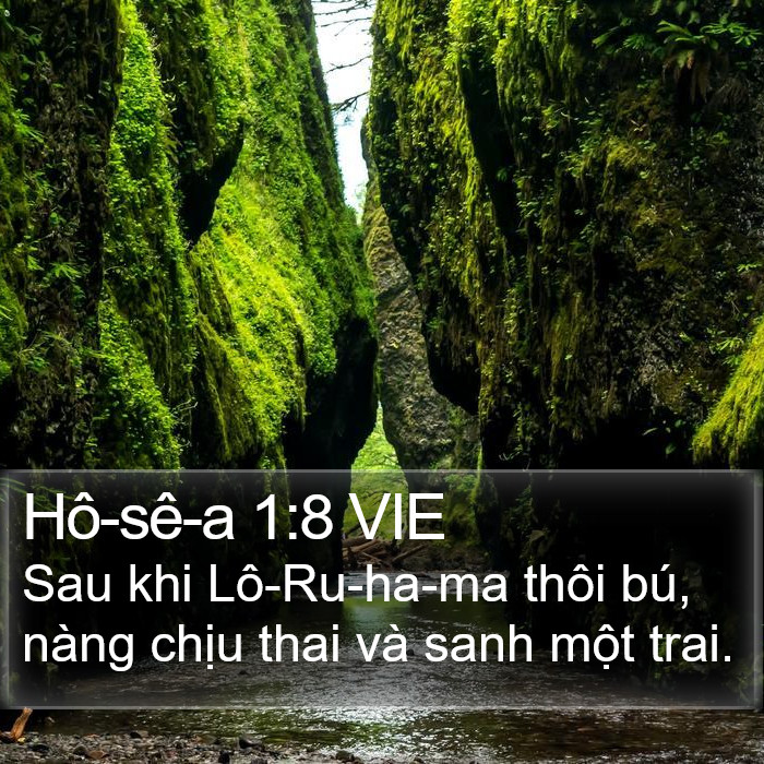 Hô-sê-a 1:8 VIE Bible Study